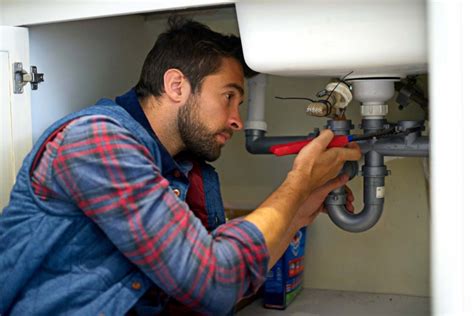 rooter plumbing|Mr. Rooter vs. Roto.